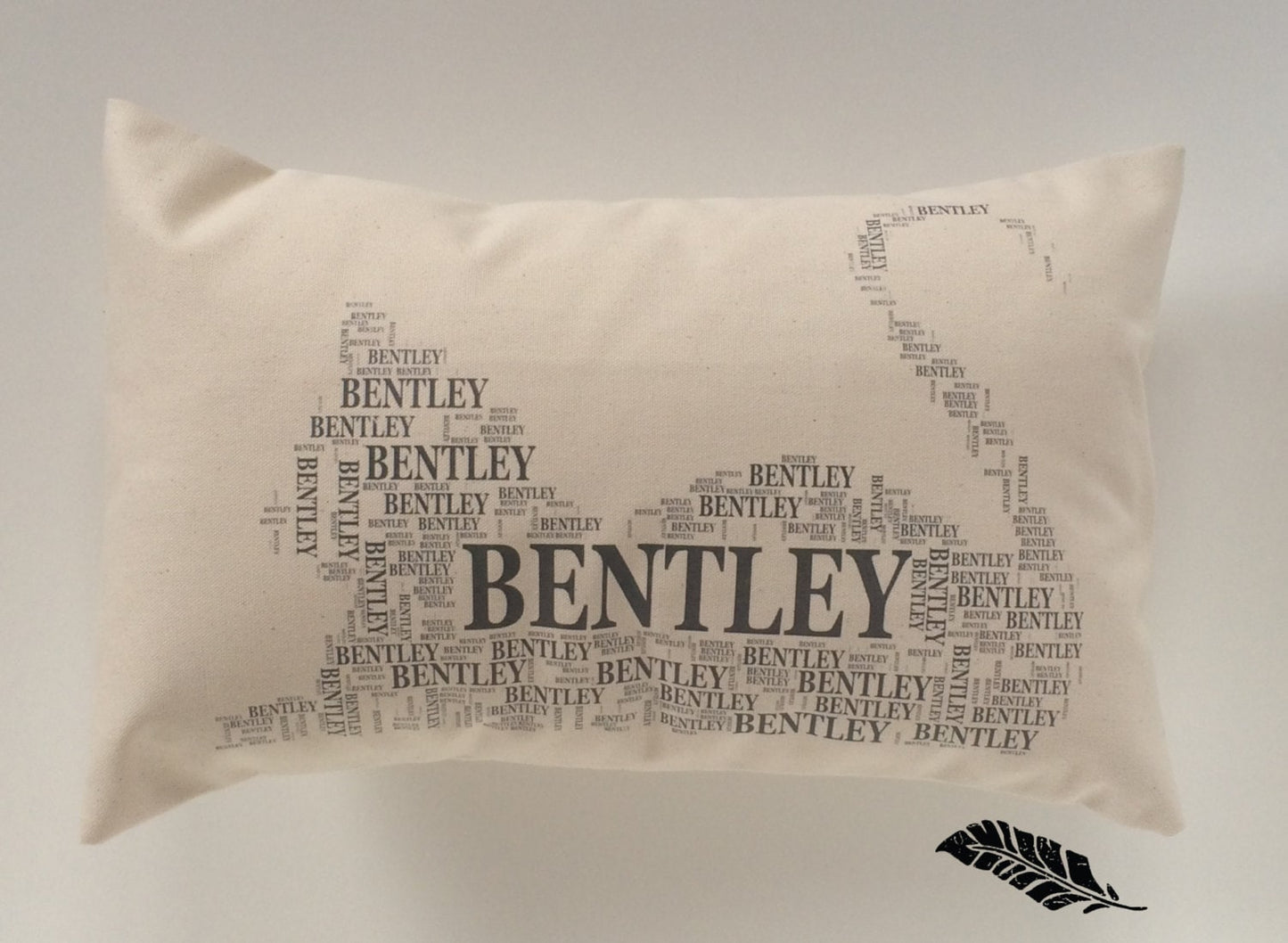 CAT NAME pillow. Custom typography pillow with your cat's name, pet lover gift, cat lover