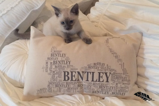 CAT NAME pillow. Custom typography pillow with your cat's name, pet lover gift, cat lover